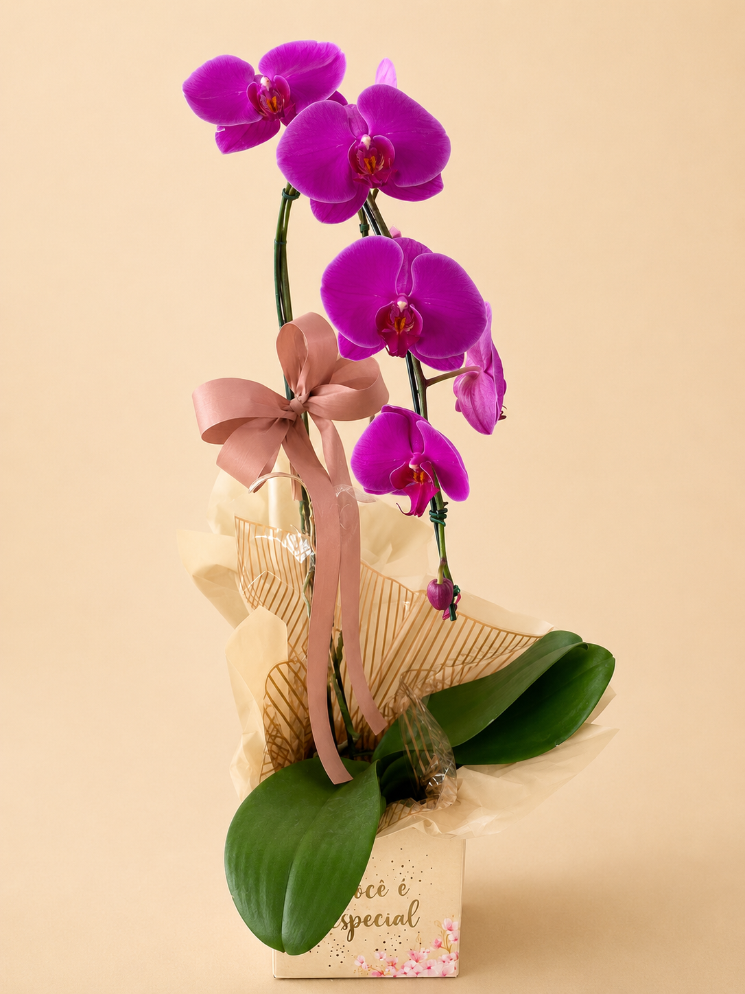 Foto do produto Orquídea cascata uma haste