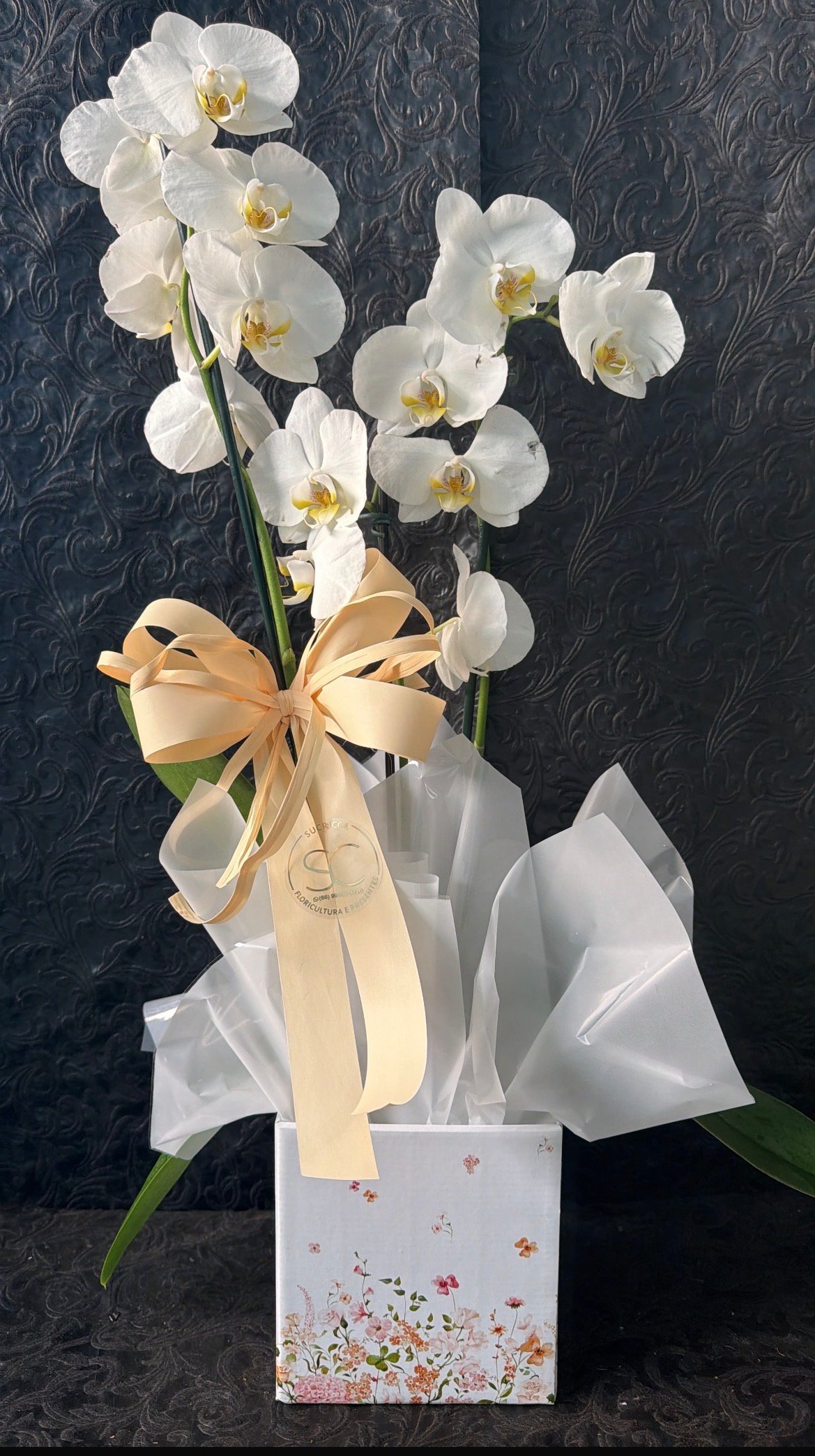 Foto do produto Orquídea 3 hastes